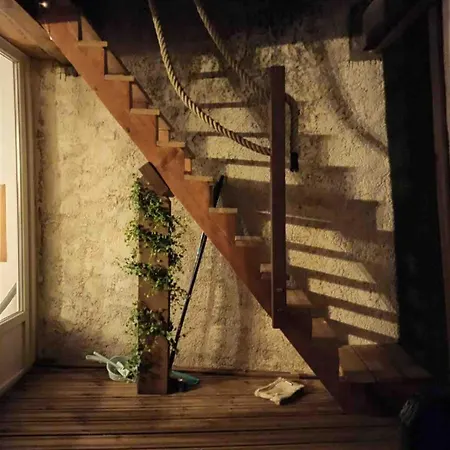 Coeur D 'amande 纳博讷